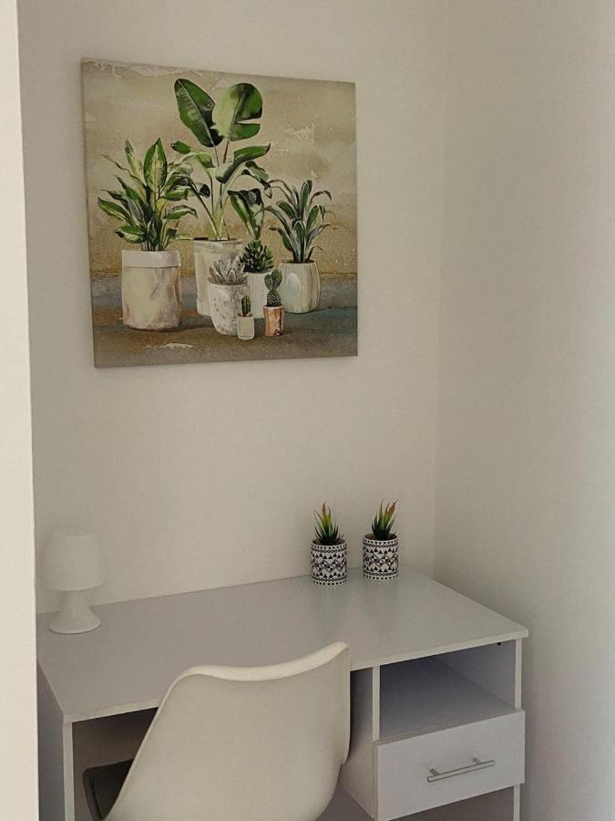 Dream House Cerenova Apartment Marina di Cerveteri Bagian luar foto